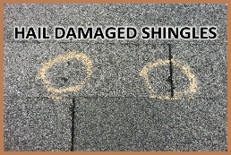 hail damaged shingles
